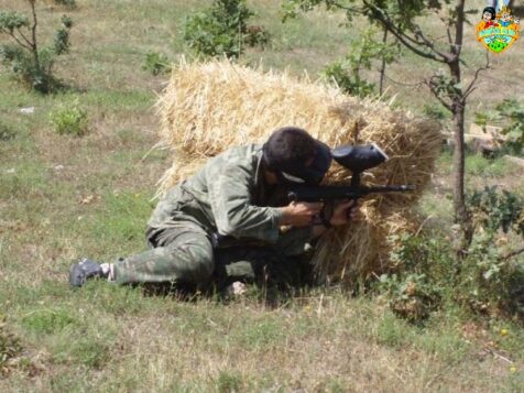 122771337644 lrg